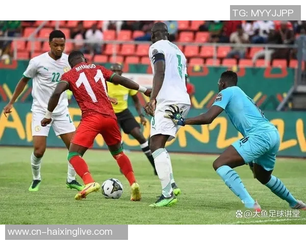 摩洛哥与贝队激战非洲杯争夺荣耀与未来的关键之战