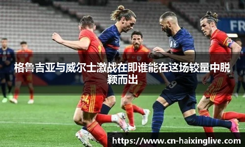 海星体育直播网址